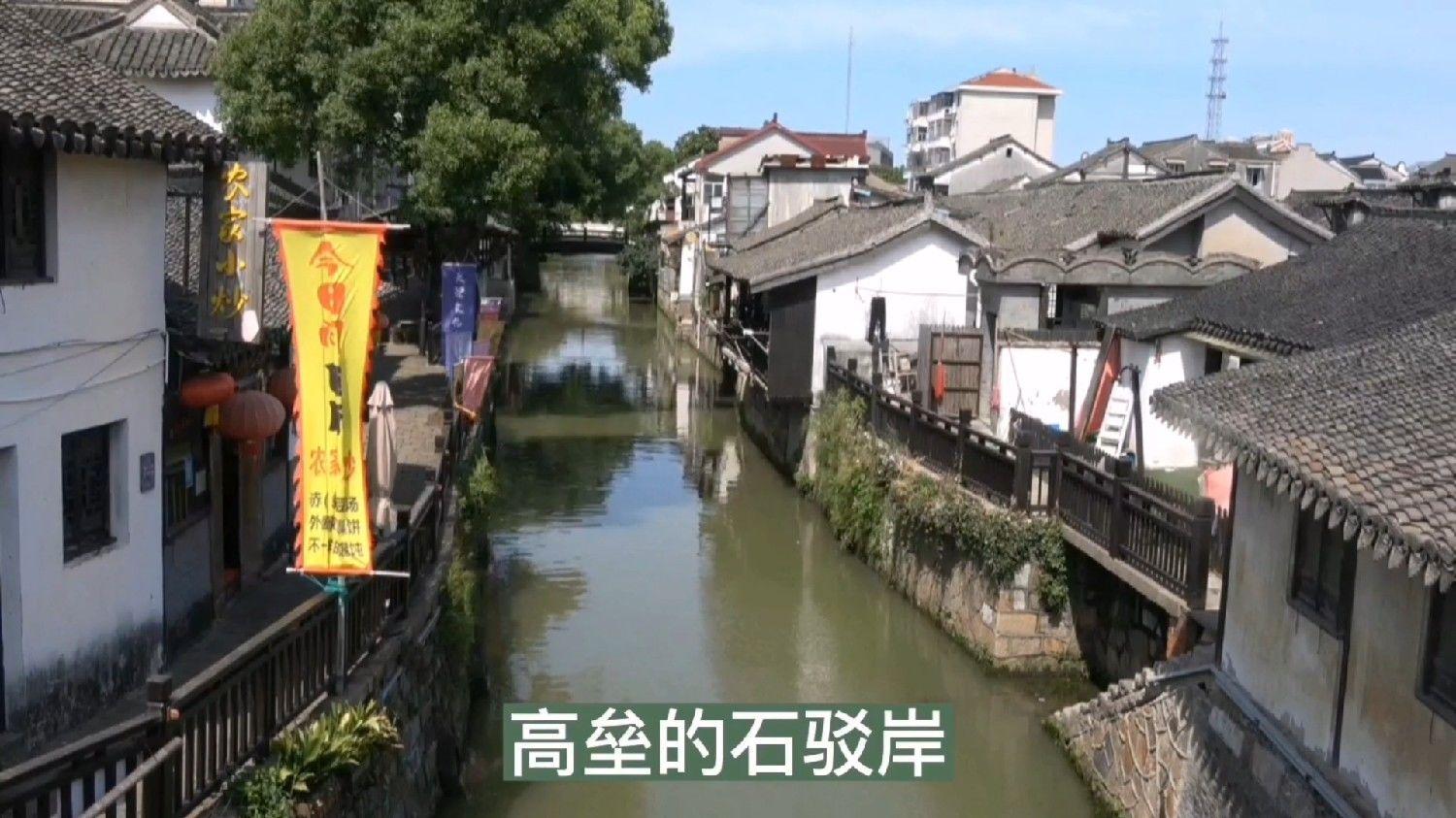 解救野生狐狸