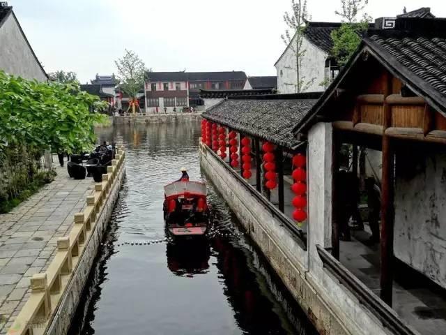 小仓鼠吃瓜子
